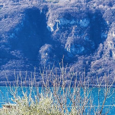 Apartment L'Ulivo Lake View Private Road 5 Kilometers From Varenna 列尔纳 外观 照片